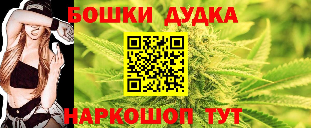 Бошки Шишки семена Россия